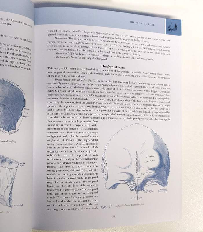 Gray's Anatomy: The Classic 1860 Edition with Original Illustrations by Henry Carter