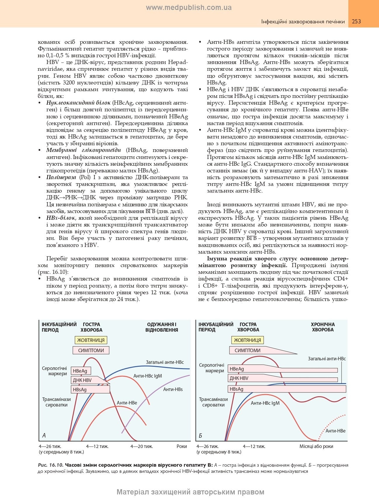 Robbins Basic Pathology: In 2 Volumes. Volume 2 / Vinay Kumar, Abul K. Abbas, Jon C. Aster; translated from the 10th English edition