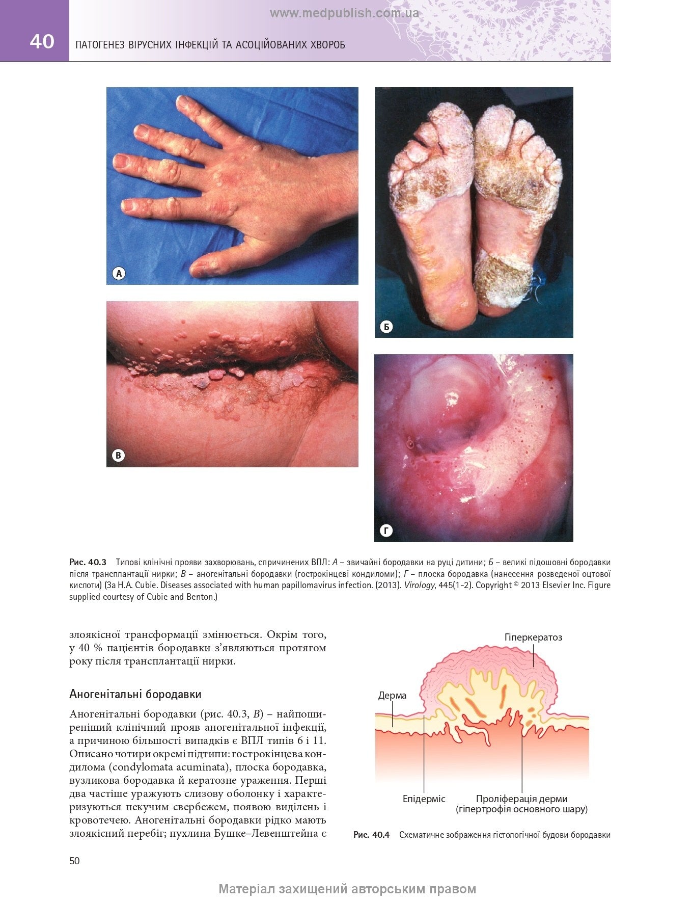 Medical Microbiology. A Guide to Microbial Infections: Pathogenesis, Immunity, Laboratory Diagnosis and Control: 19th Edition: in 2 volumes. Volume 2 / Michael R. Barer, Will Irving, Andrew Swann, Nelun Perera
