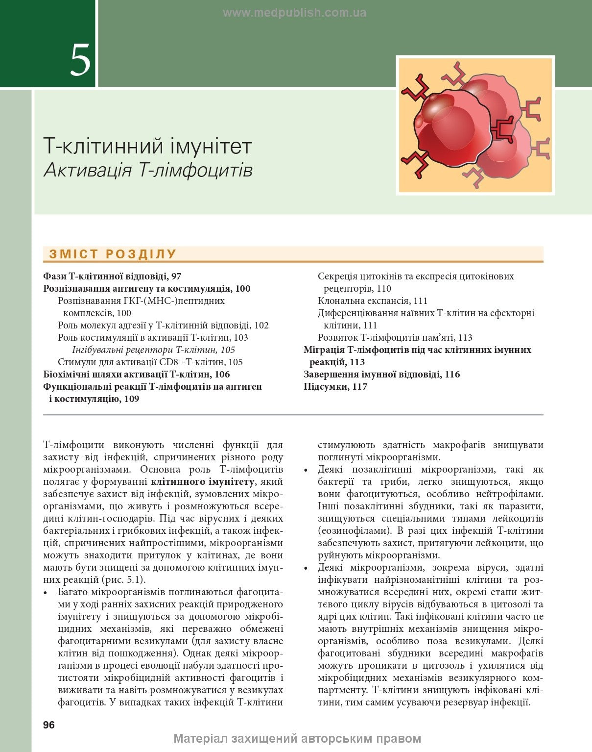 Basic Immunology: Functions and Disorders of the Immune System, 6th Edition / Abul K. Abbas, Andrew H. Lichtman, Shiv Pillai