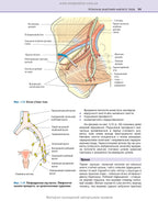 Clinical Obstetrics and Gynaecology: 4th Edition / Brian A. Magowan, Philip Owen, Andrew Thomson