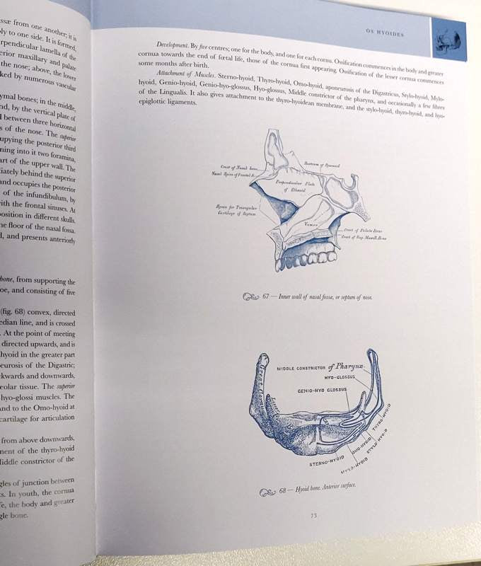 Gray's Anatomy: The Classic 1860 Edition with Original Illustrations by Henry Carter
