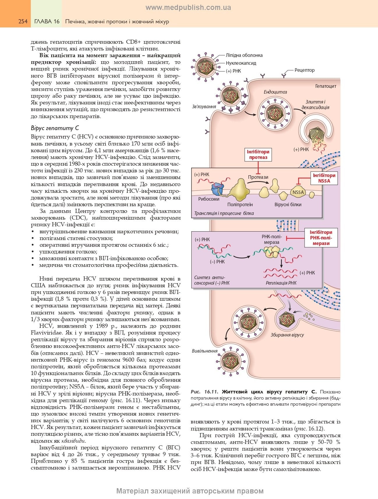Robbins Basic Pathology: In 2 Volumes. Volume 2 / Vinay Kumar, Abul K. Abbas, Jon C. Aster; translated from the 10th English edition