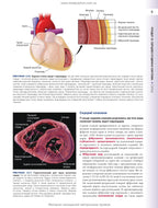Histology: A Text and Atlas. With Correlated Cell and Molecular Biology: 8th Edition: In 2 Volumes. Volume 2 / Wojciech Pawlina, Michael H. Ross