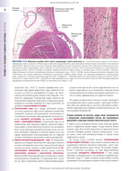 Histology: A Text and Atlas. With Correlated Cell and Molecular Biology: 8th Edition: In 2 Volumes. Volume 2 / Wojciech Pawlina, Michael H. Ross