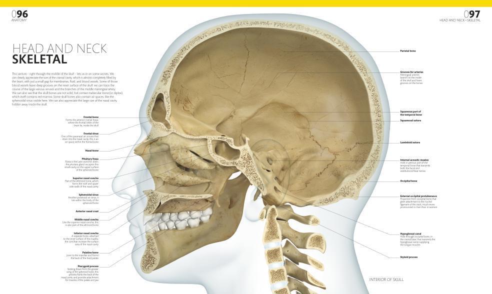 The Complete Human Body. The Definitive Visual Guide / Alice Roberts