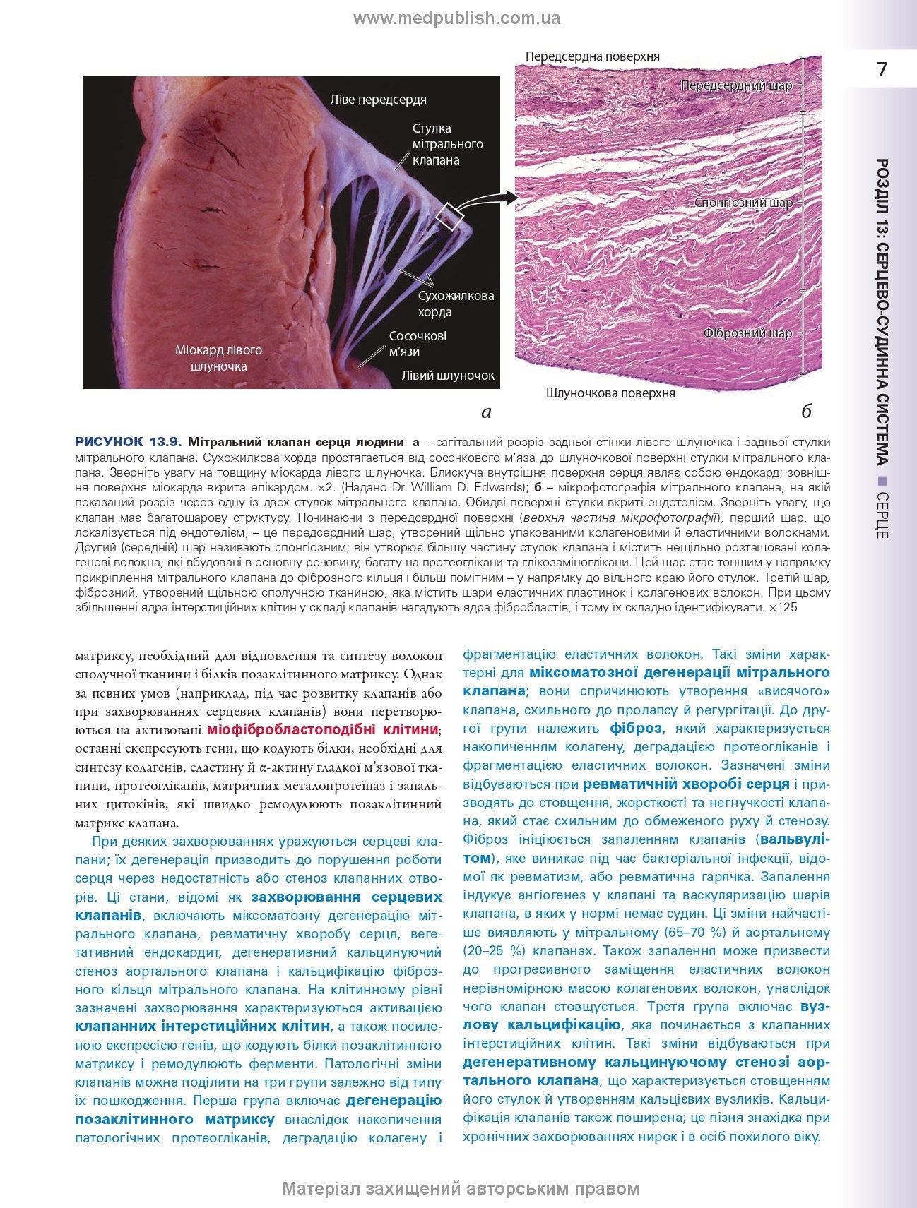 Histology: A Text and Atlas. With Correlated Cell and Molecular Biology: 8th Edition: In 2 Volumes. Volume 2 / Wojciech Pawlina, Michael H. Ross