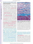 Histology: A Text and Atlas. With Correlated Cell and Molecular Biology: 8th Edition: In 2 Volumes. Volume 2 / Wojciech Pawlina, Michael H. Ross