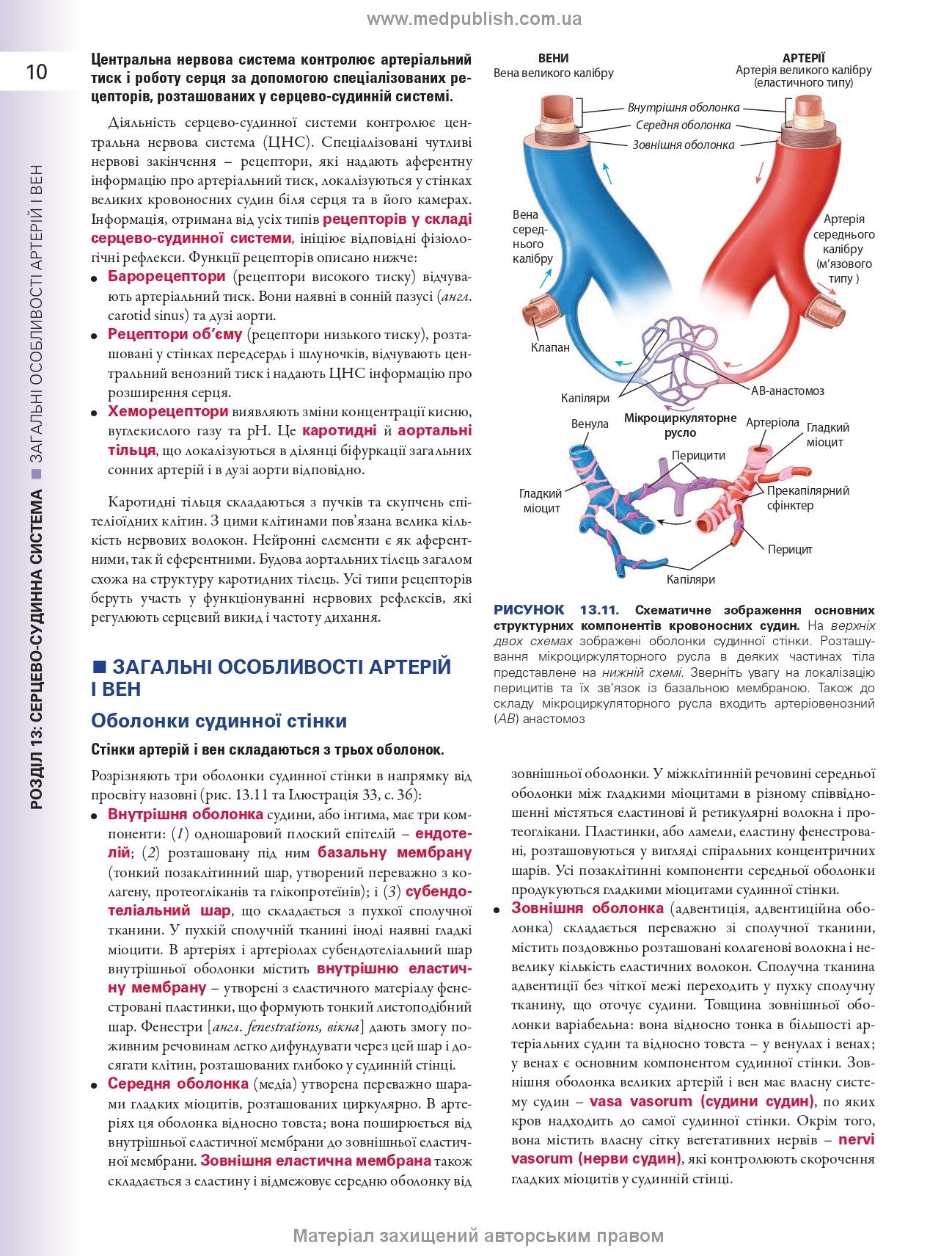Histology: A Text and Atlas. With Correlated Cell and Molecular Biology: 8th Edition: In 2 Volumes. Volume 2 / Wojciech Pawlina, Michael H. Ross