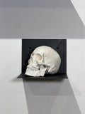 Skull layout