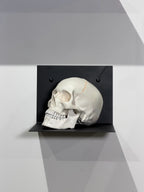Skull layout
