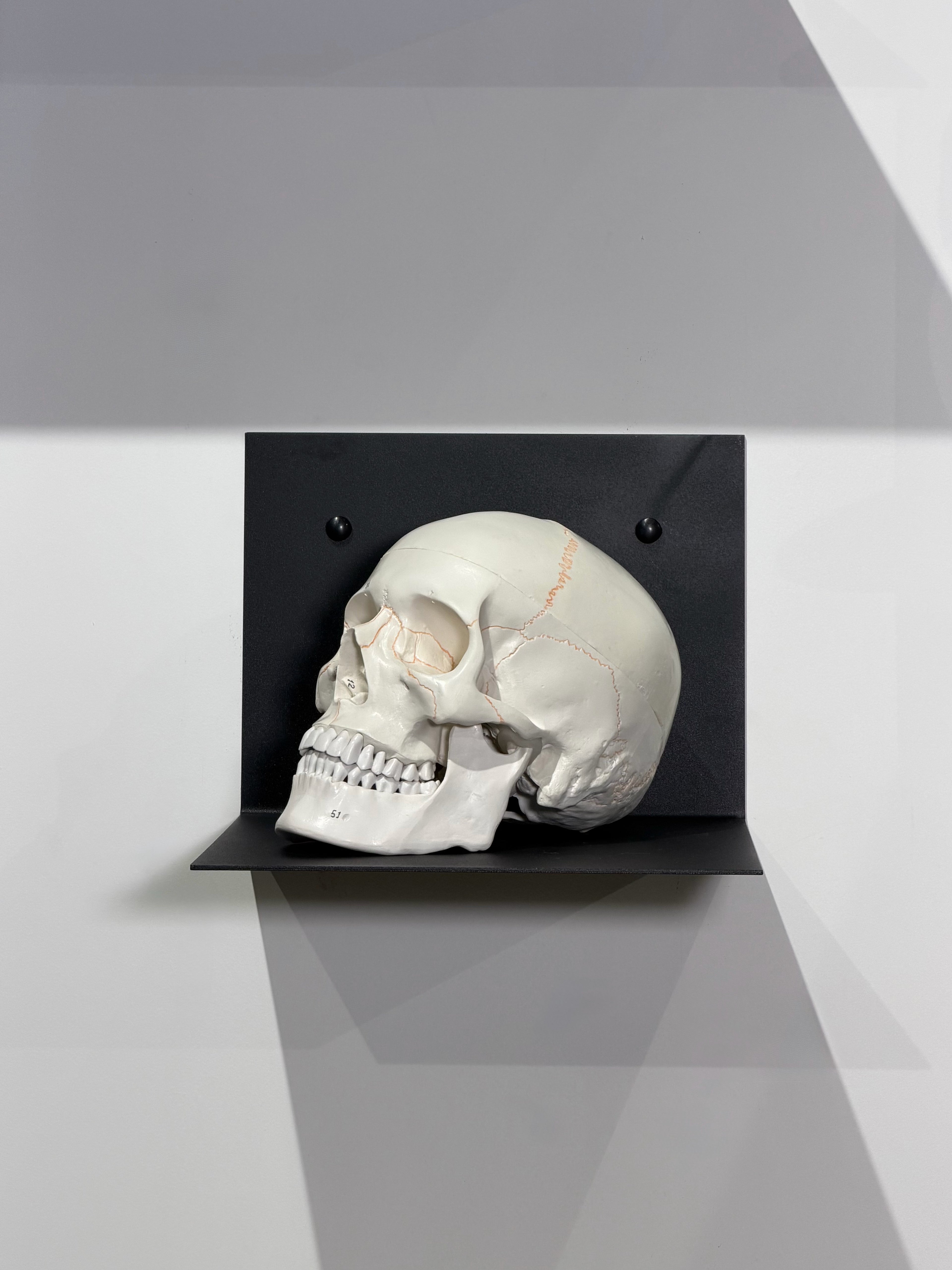 Skull layout