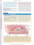 Histology: A Text and Atlas. With Correlated Cell and Molecular Biology: 8th Edition: In 2 Volumes. Volume 2 / Wojciech Pawlina, Michael H. Ross