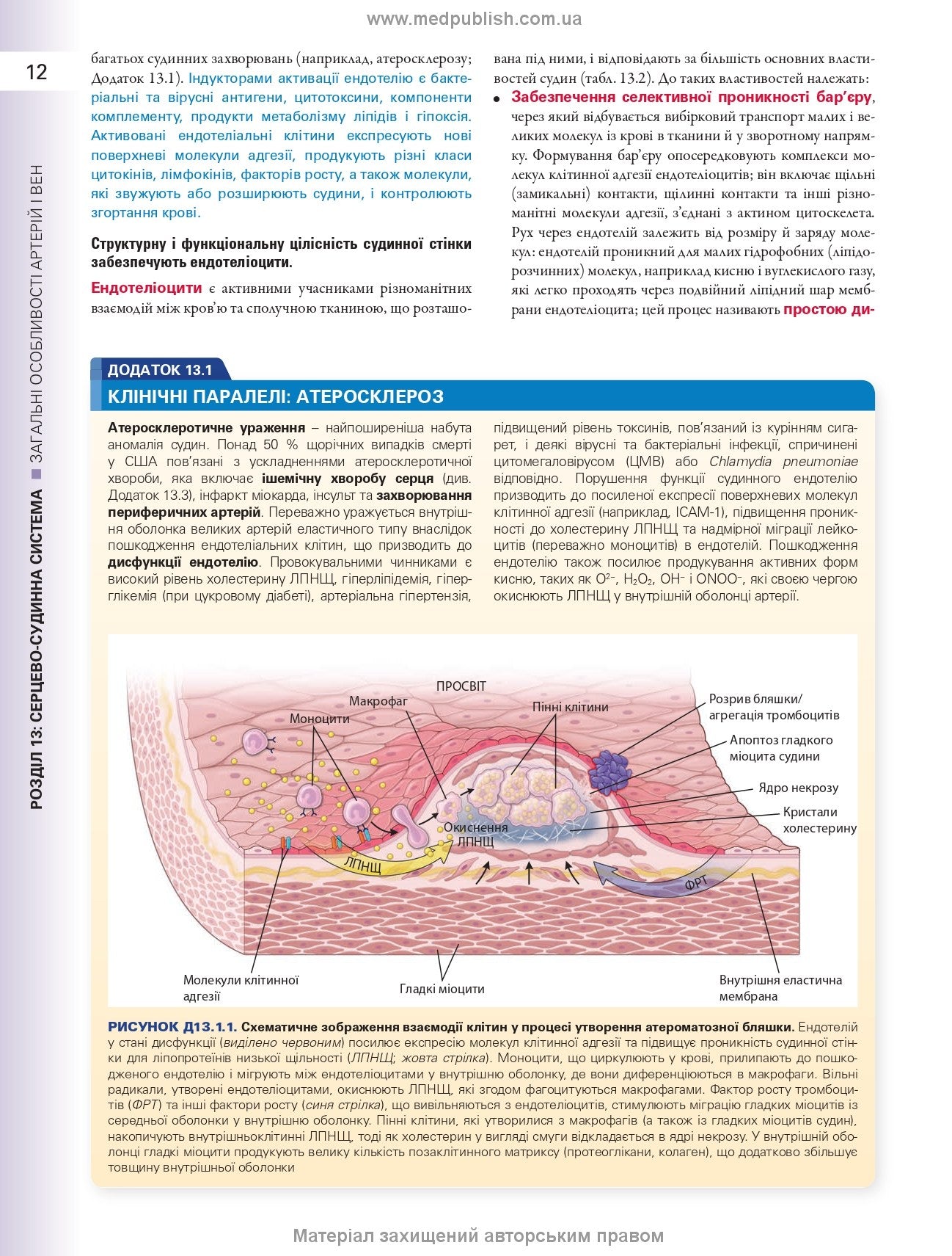 Histology: A Text and Atlas. With Correlated Cell and Molecular Biology: 8th Edition: In 2 Volumes. Volume 2 / Wojciech Pawlina, Michael H. Ross