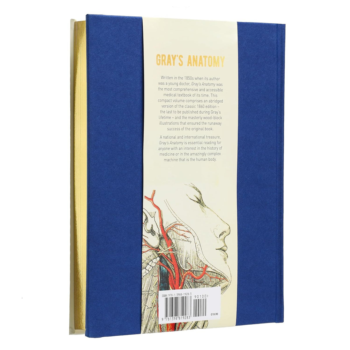 Gray's Anatomy: With Original Illustrations by Henry Carter