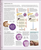 The Human Body Book / Steve Parker