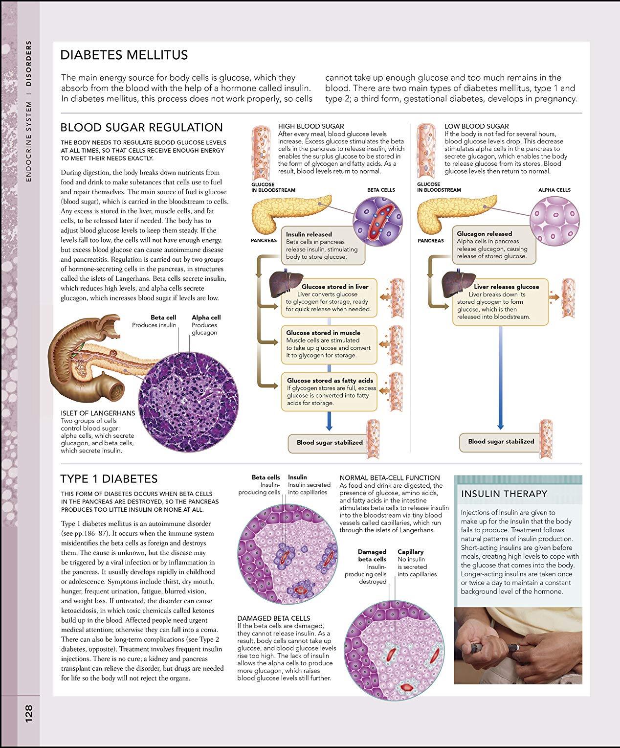 The Human Body Book / Steve Parker