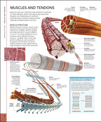 The Human Body Book / Steve Parker