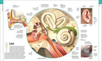 HUMAN ANATOMY | ALICE ROBERTS