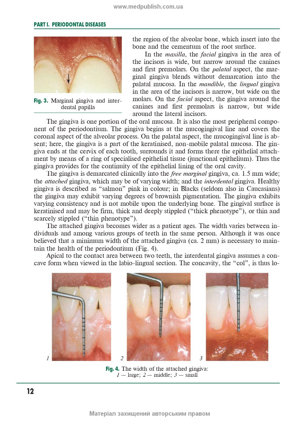 Periodontal and oral mucosa diseases - P2 / A.V.Borysenko