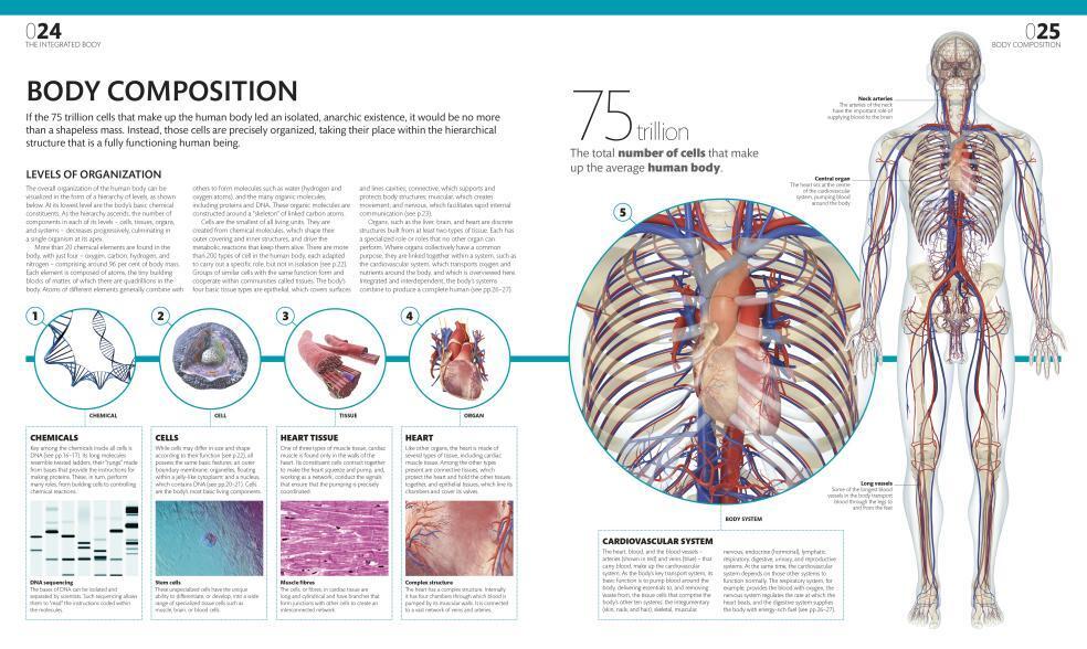 The Complete Human Body. The Definitive Visual Guide / Alice Roberts