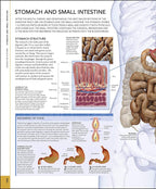 The Human Body Book / Steve Parker