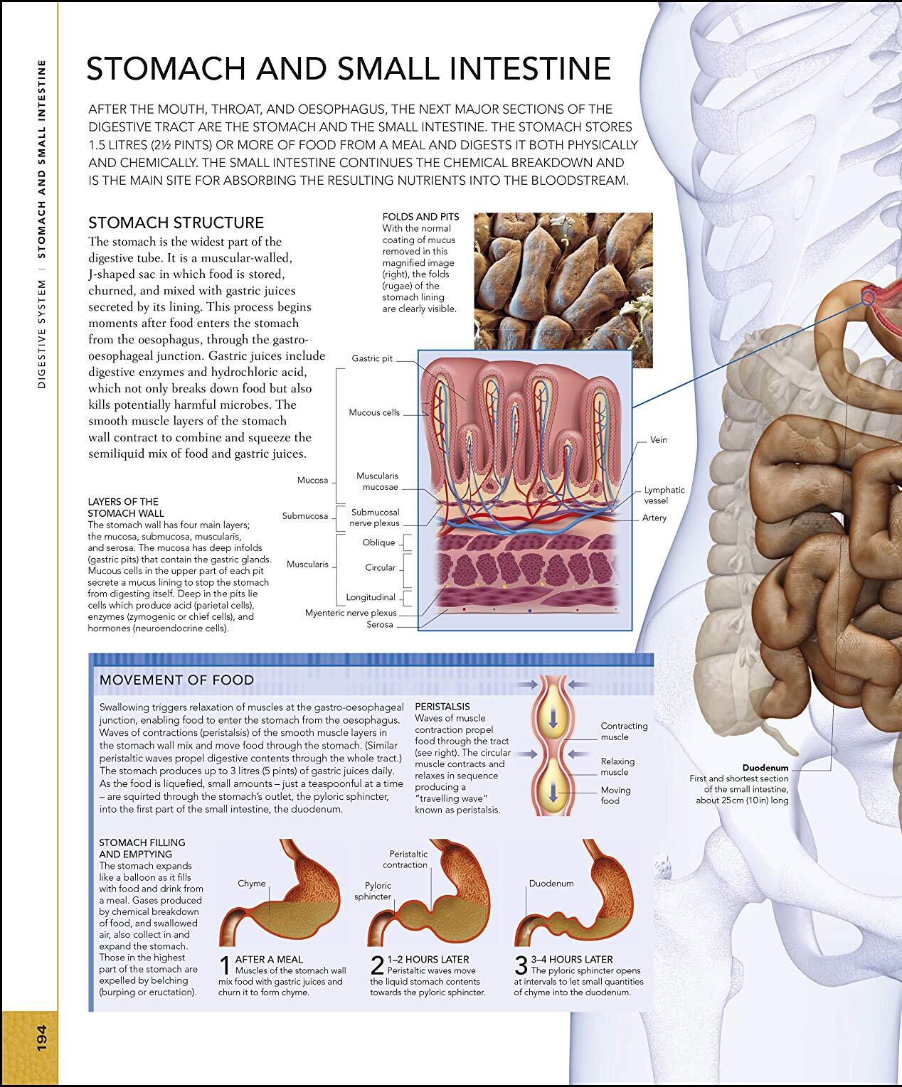 The Human Body Book / Steve Parker