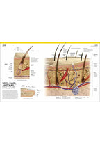 THE COMPLETE HUMAN BODY. THE DEFINITIVE VISUAL GUIDE. 3rd edition
