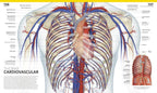 The Complete Human Body. The Definitive Visual Guide / Alice Roberts