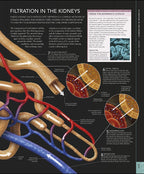 The Human Body Book / Steve Parker