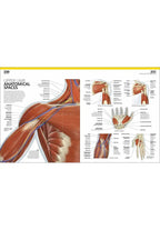 THE COMPLETE HUMAN BODY. THE DEFINITIVE VISUAL GUIDE. 3rd edition