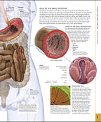 The Human Body Book / Steve Parker