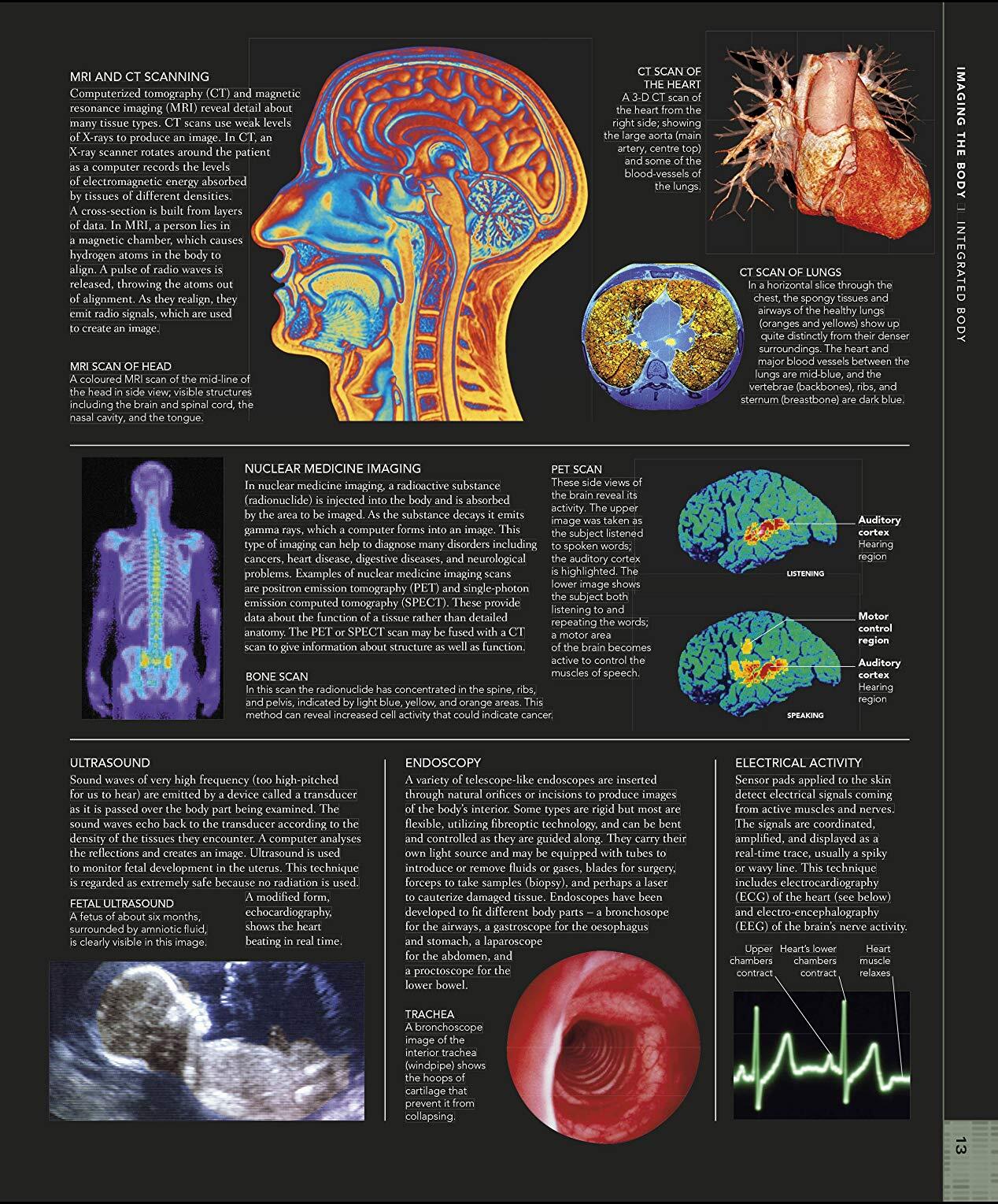 The Human Body Book / Steve Parker