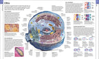 HUMAN ANATOMY | ALICE ROBERTS
