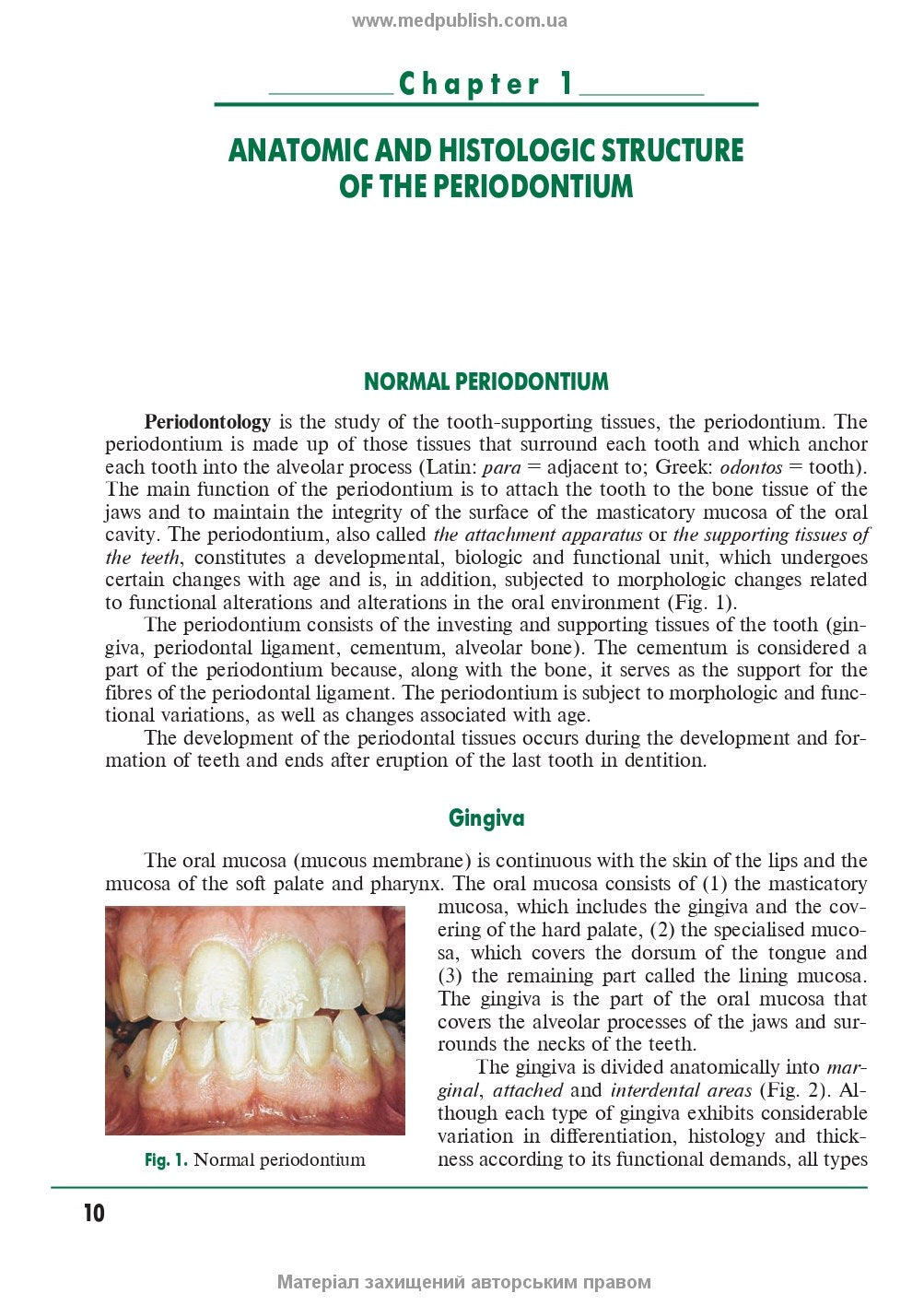 Periodontal and oral mucosa diseases - P2 / A.V.Borysenko