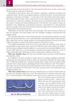 Prosthetic Dentistry: textbook / M.M. Rozhko, V.P. Nespriadko, I.V. Paliichuk et al.