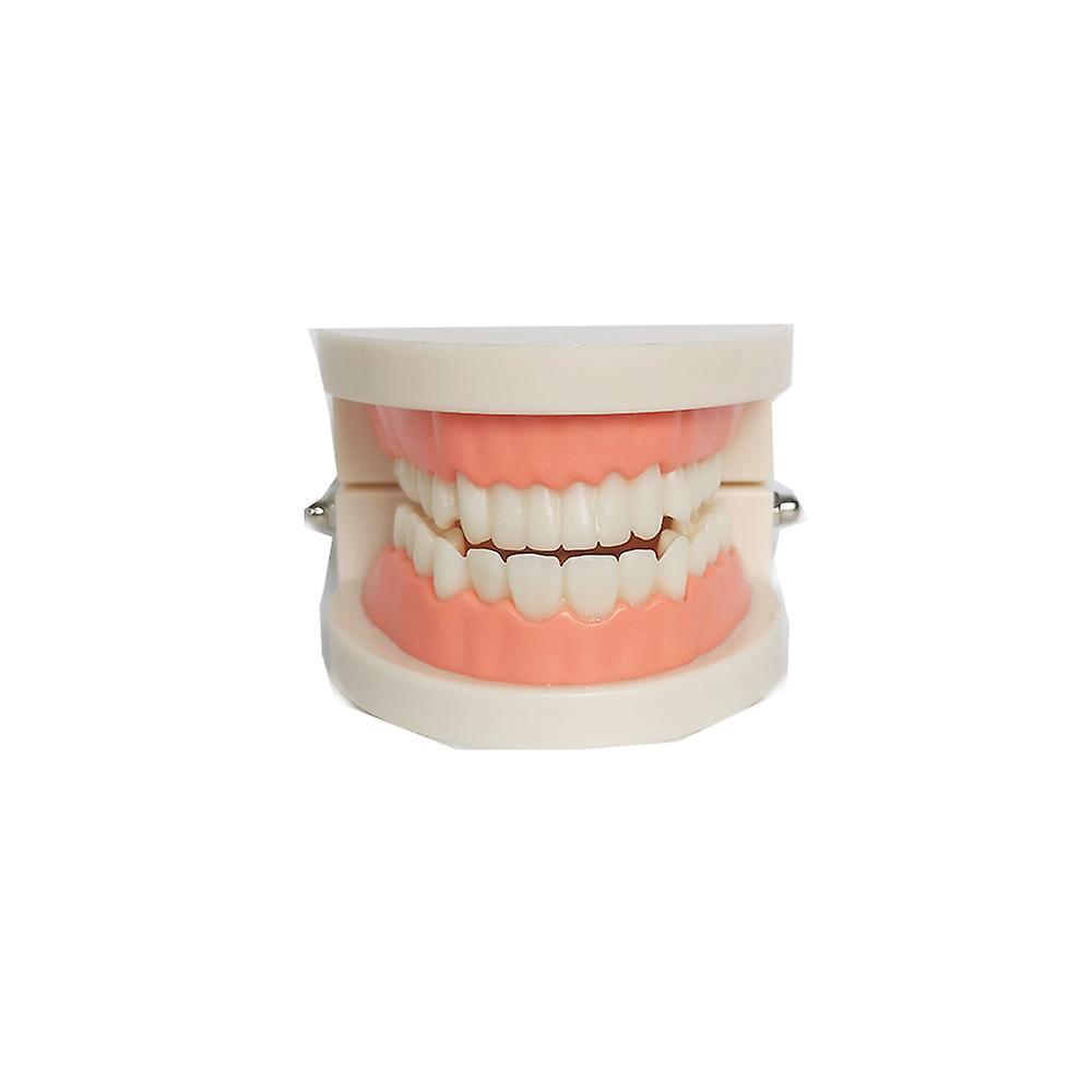 Standard teeth model