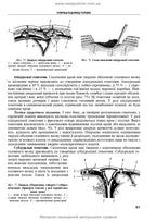 Operative Surgery and Topographic Anatomy: Textbook / Yu.T. Akhtemiichuk, Yu.M. Vovk, S.V. Doroshenko, et al. — 5th edition