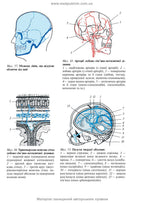 Operative Surgery and Topographic Anatomy: Textbook / Yu.T. Akhtemiichuk, Yu.M. Vovk, S.V. Doroshenko, et al. — 5th edition