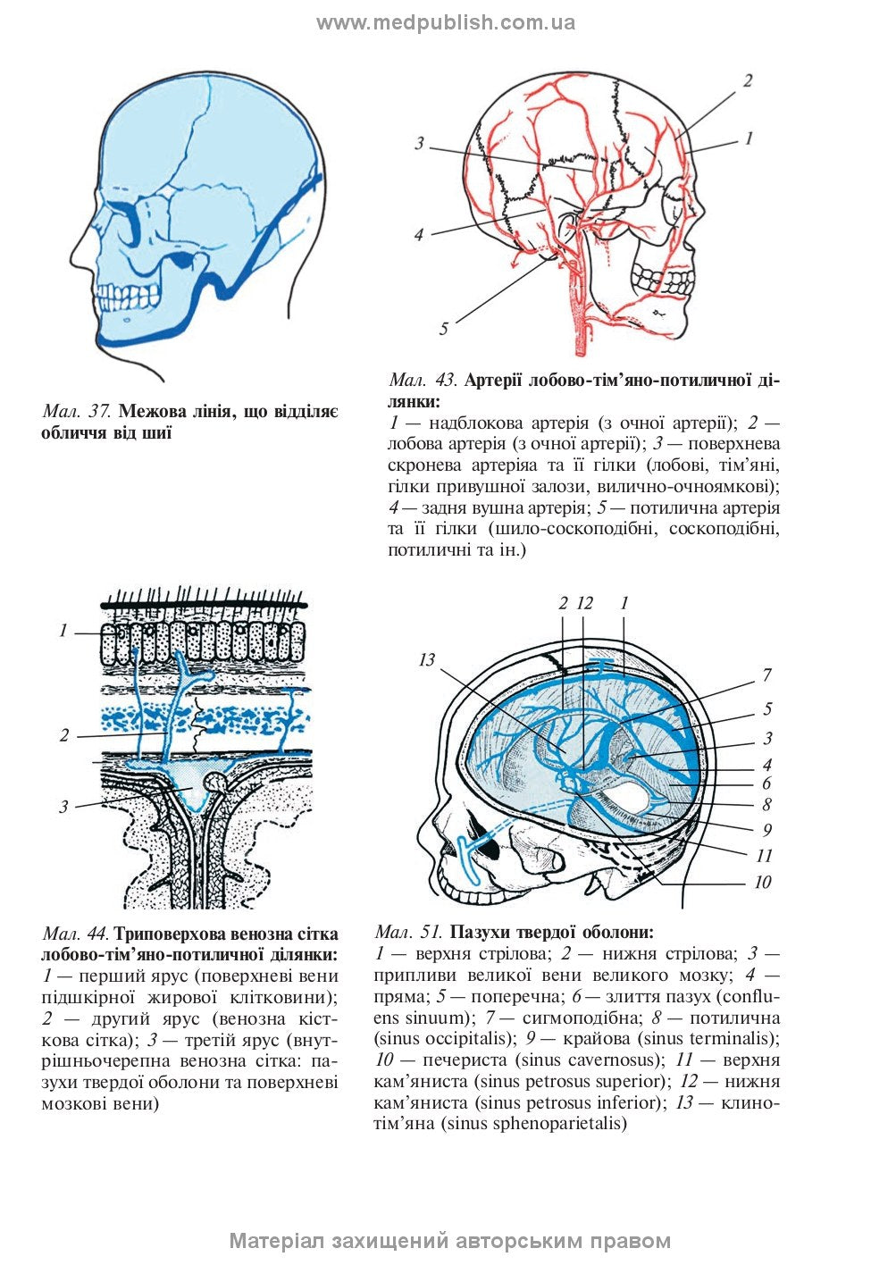 Operative Surgery and Topographic Anatomy: Textbook / Yu.T. Akhtemiichuk, Yu.M. Vovk, S.V. Doroshenko, et al. — 5th edition
