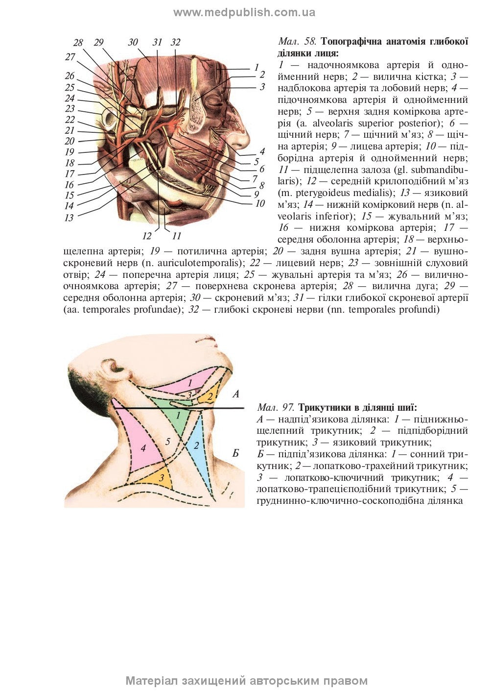Operative Surgery and Topographic Anatomy: Textbook / Yu.T. Akhtemiichuk, Yu.M. Vovk, S.V. Doroshenko, et al. — 5th edition