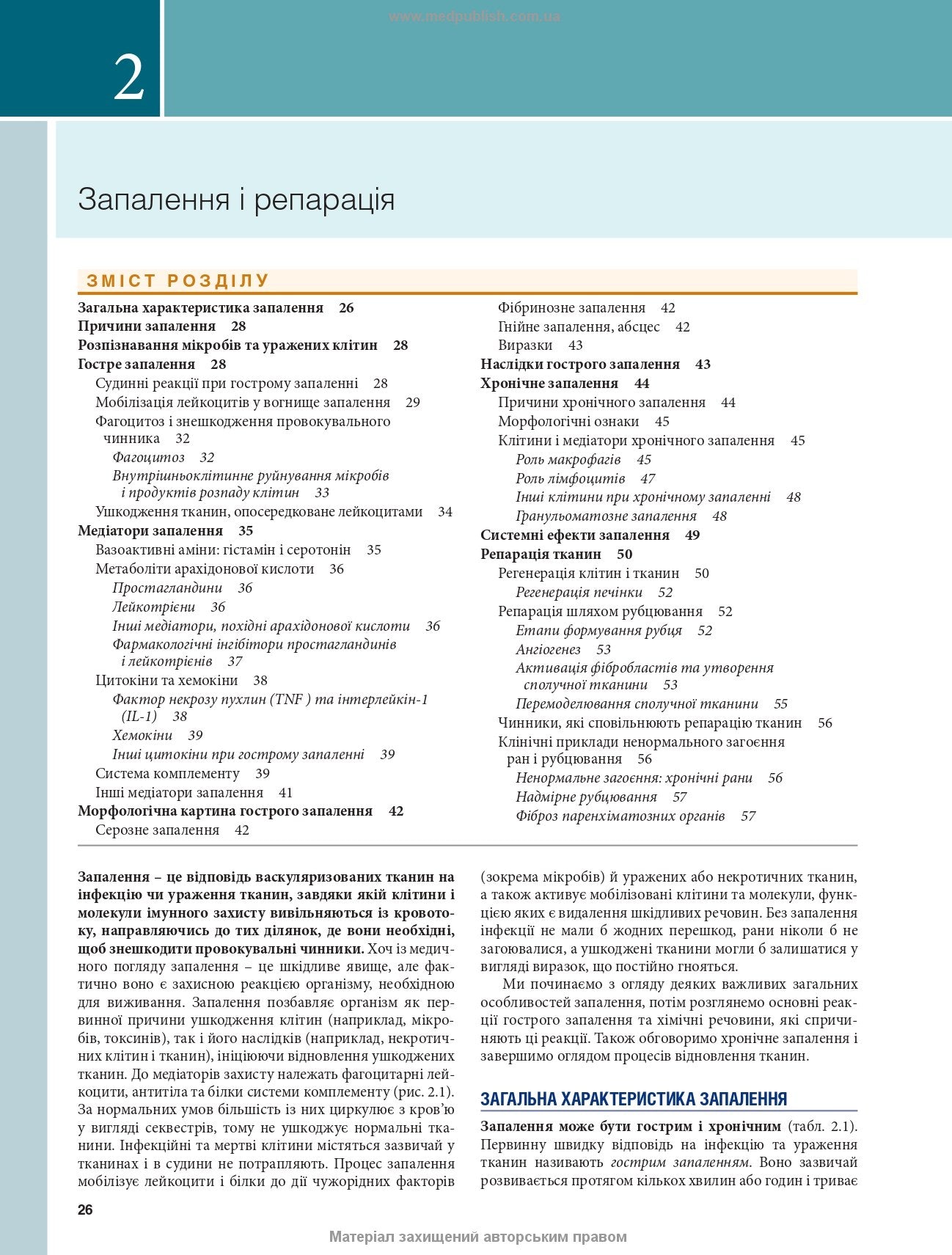 Robbins and Kumar Basic Pathology: Eleventh Edition / Vinay Kumar, Abul K. Abbas, Jon C. Aster et al.