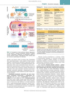 Robbins and Kumar Basic Pathology: Eleventh Edition / Vinay Kumar, Abul K. Abbas, Jon C. Aster et al.
