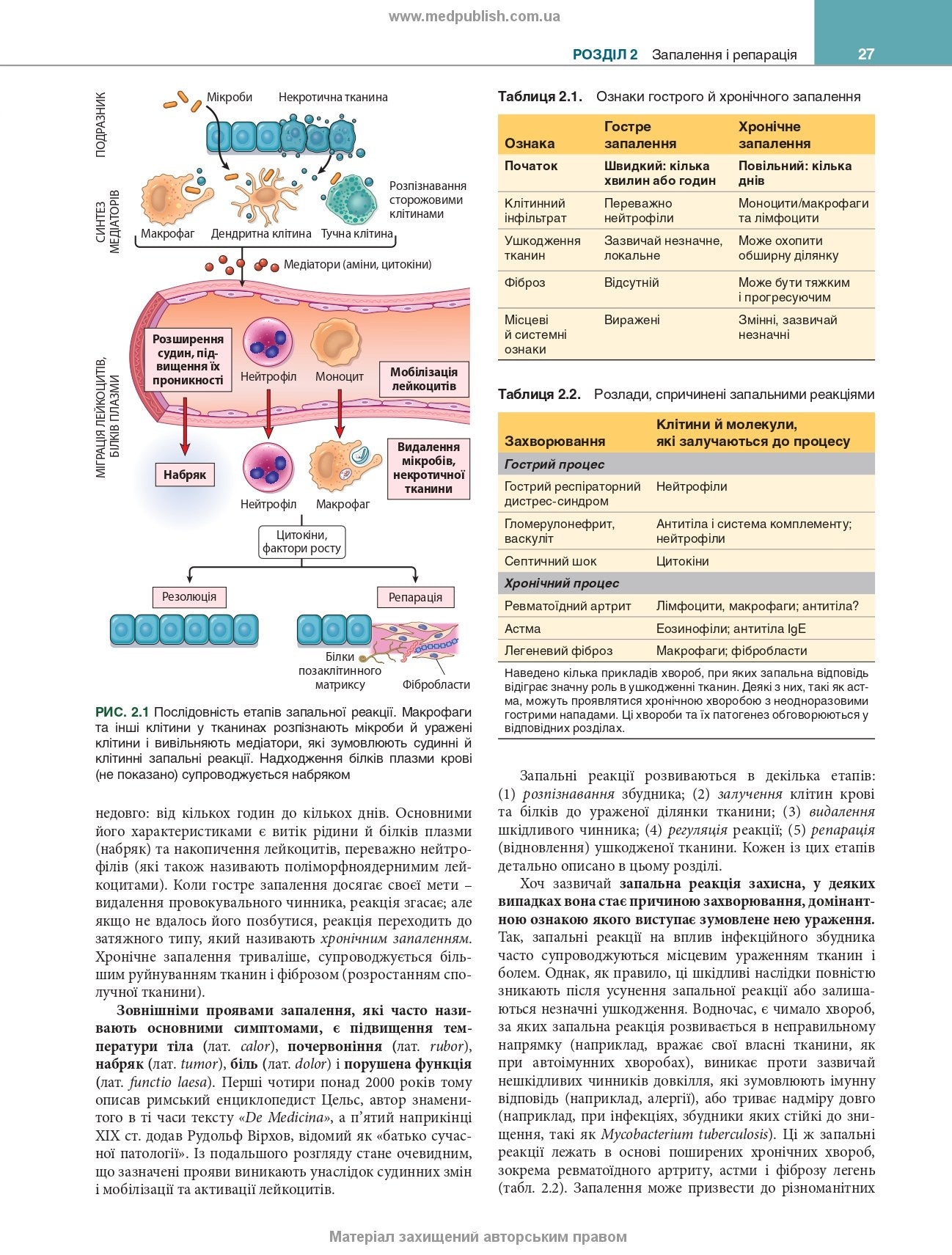 Robbins and Kumar Basic Pathology: Eleventh Edition / Vinay Kumar, Abul K. Abbas, Jon C. Aster et al.