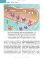 Robbins and Kumar Basic Pathology: Eleventh Edition / Vinay Kumar, Abul K. Abbas, Jon C. Aster et al.