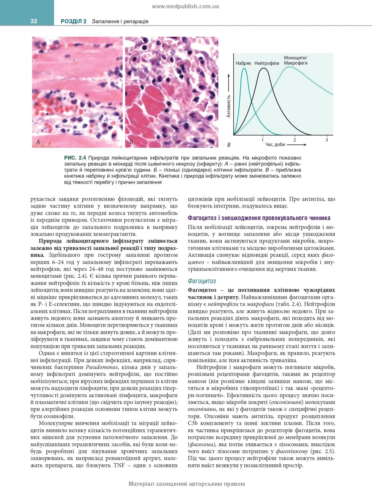 Robbins and Kumar Basic Pathology: Eleventh Edition / Vinay Kumar, Abul K. Abbas, Jon C. Aster et al.