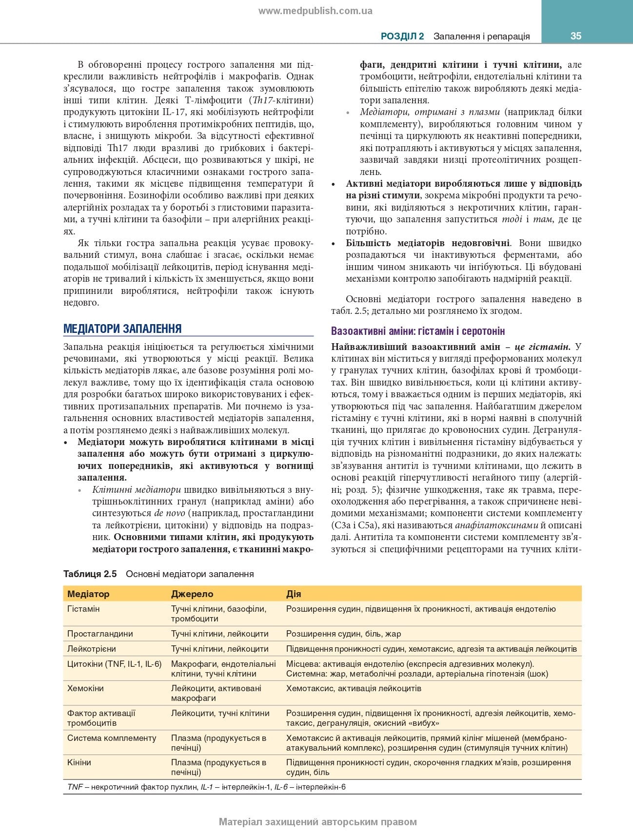 Robbins and Kumar Basic Pathology: Eleventh Edition / Vinay Kumar, Abul K. Abbas, Jon C. Aster et al.