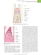 Practical Periodontology: 2nd Edition / Kenneth Eaton, Philip Ower