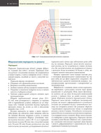 Practical Periodontology: 2nd Edition / Kenneth Eaton, Philip Ower