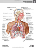Netter's Atlas of Human Anatomy: A Regional Approach: 8th Edition / Frank H. Netter (two languages)